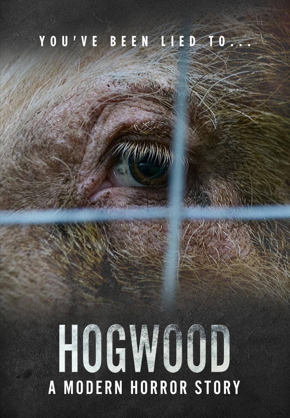     Hogwood: A Modern Horror Story